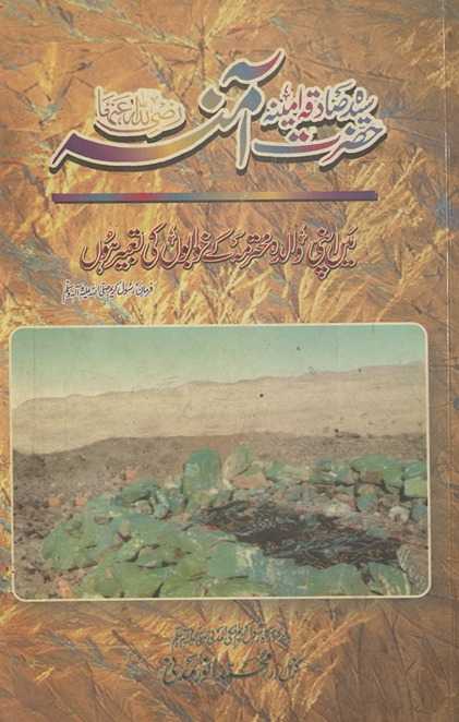 ziyārat qabar Sayyidah Amīnah Raẓī Alláh T̤aʻālá ʻanhāh