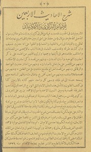 Sharḥ al-ahādīth al-arbaʻīn lil-imām al-Birkawī wa-al-Āqkirmānī