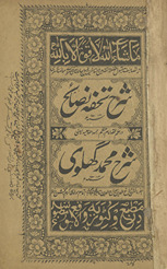 Sharḥ tuḥfah naṣāʼih dar ‘ilm-i fiqh Imām-i A‘ẓam ya‘nī sharḥ Muḥammad Ghulvī