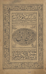 Zanjānī