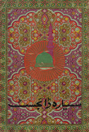Siyyārah Ḍāʼijesṭ : Rasūl nambar