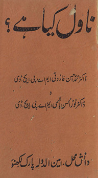 Nāvil kiyā hai : yaʻnī nāvil nigārī kā ṭeknīk /