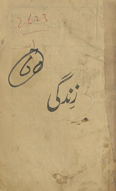 Zindagī /