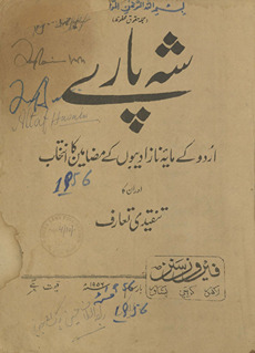 Shah pāre : Urdū ke māyah-yi nāz adībon̲ ke maẓāmīn kā intik̲h̲āb aur unkā tanqīdī taʻāruf /