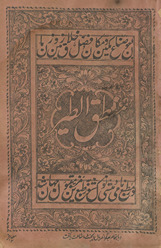 Manṭiq al-ṭayr /